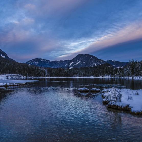 Helmut Portenkirchner