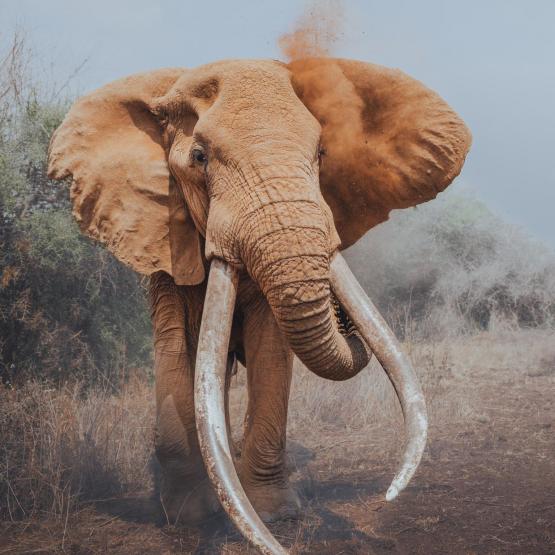 philippmedrow_123549