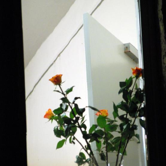 Manfred.Kphoto_127872