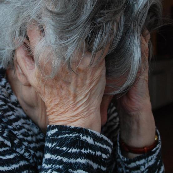 Manfred.Kphoto_127872