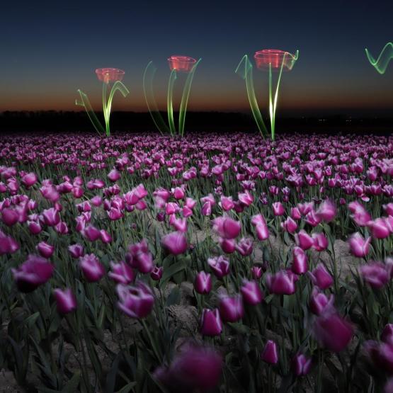 Sabine_gerards_127954