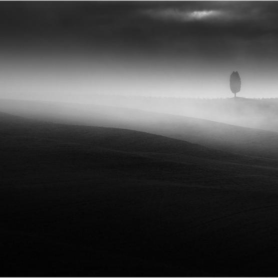 Stefan Abele