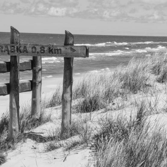 Marienplatz in Krakau | DigitalPHOTO
