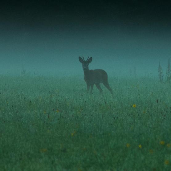 Facebook_1926231677467476