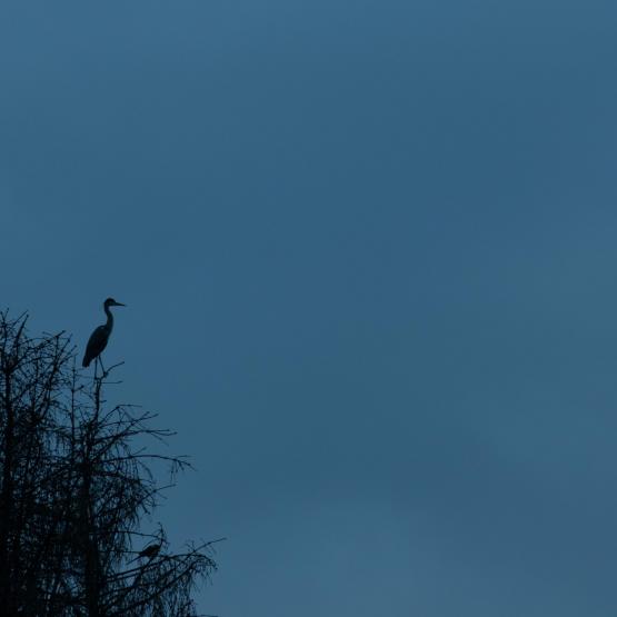 Facebook_1926231677467476