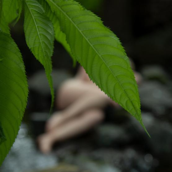 Facebook_1926231677467476