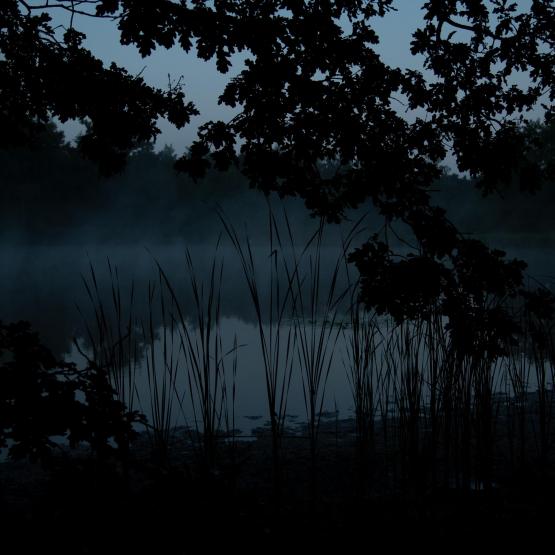 Facebook_1926231677467476