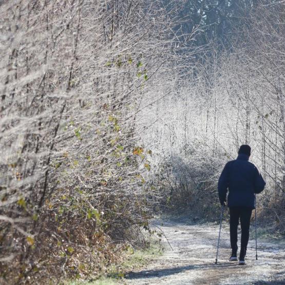 wolfgang.goergen55_84841