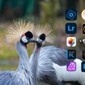 Jörg Rieger Espíndola