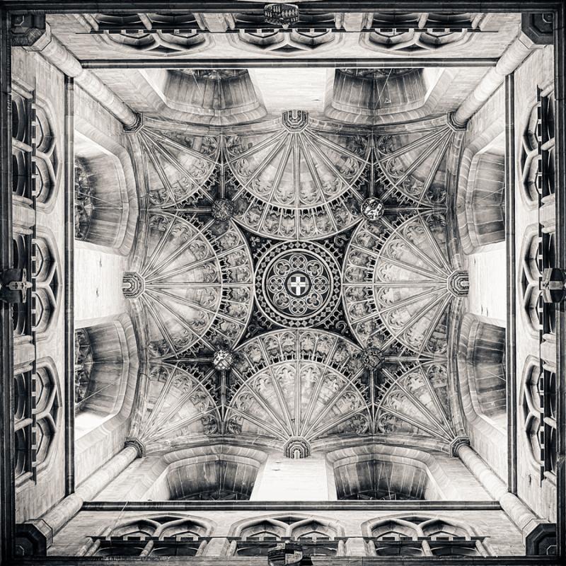 © John Eaton, USA-Aptos (CA)