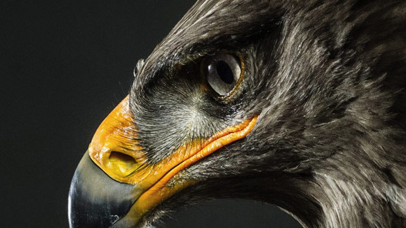  Foto: © Martin Krolop