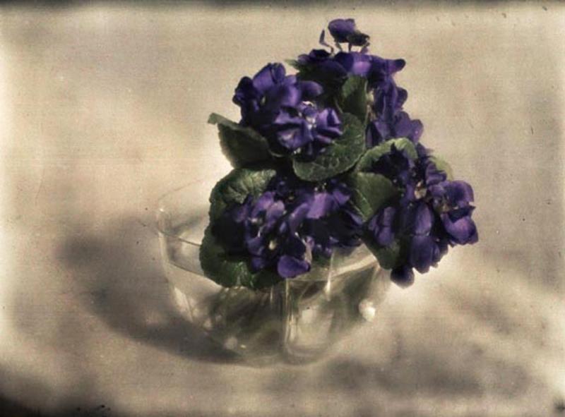 © ÖNB, Bildarchiv, Wien / Digitalisierung: ISP–Graz, C. Cichocki