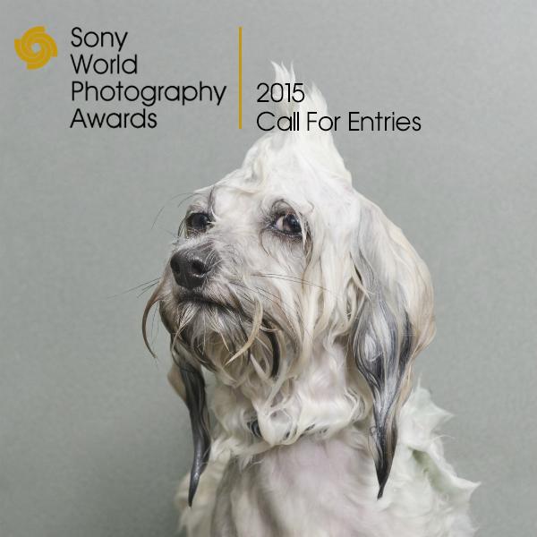  © Sony World Photography Awards