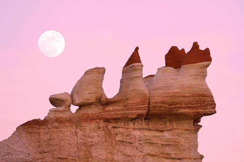 © Michael Weber, Laupheimer Fototage