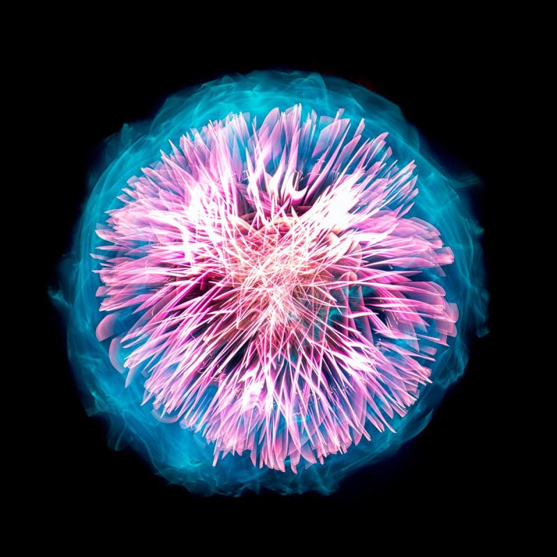 Bernhard Rauscher, München