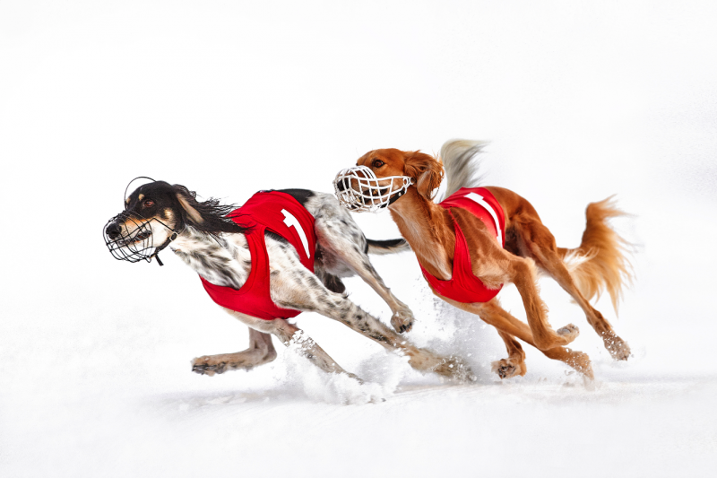 Ludwig Loch, Saarlouis