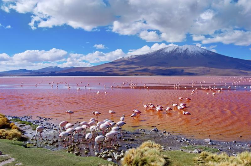 Fotolia.com/Byelikova Oksana