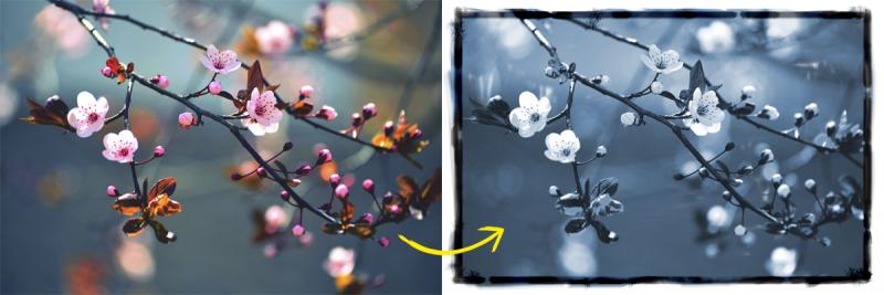 Ausgangsbild: Fotolia.com/montypeter; Bildbearbeitung: Jill Ehrat