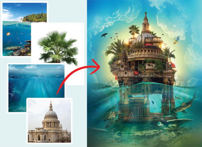 DigitalPHOTO / Kevin Lohstroh / shutterstock