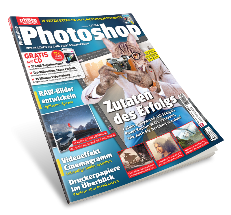 falkemedia GmbH &amp; Co. KG