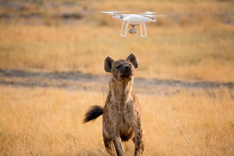 Rhino Africa Digital