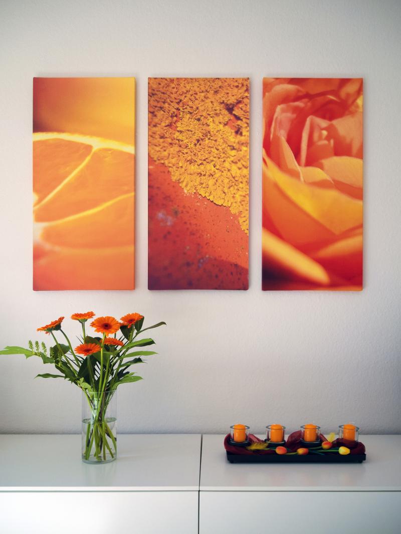 © Wilm Ihlenfeld – stock.adobe.com/de