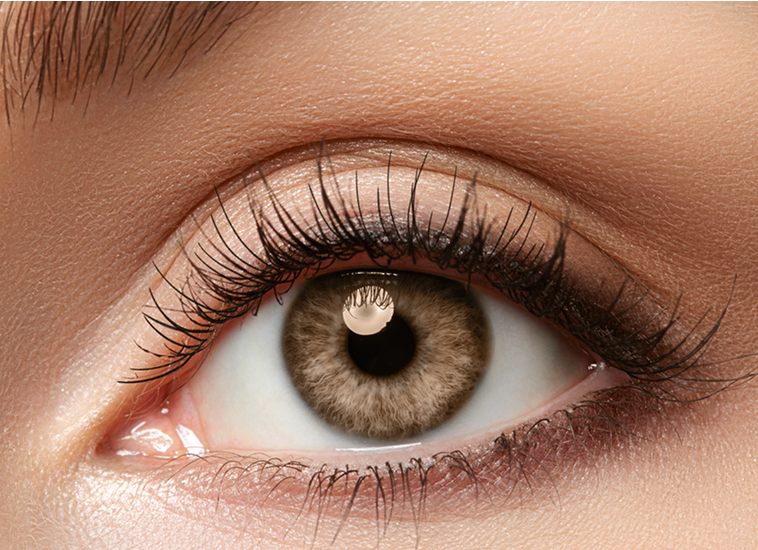 Adobe Stock; Texte, Bildbearbeitung &amp; Screenshots: Dirk Metztmacher