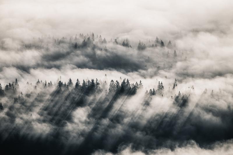 Tobias Büttel (Instagram: tobhe)