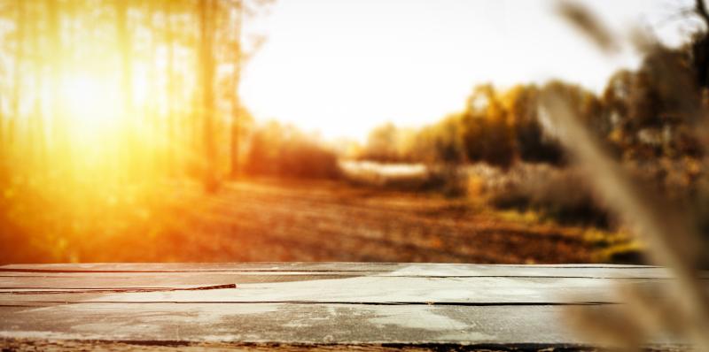 Adobe Stock, Magdal3na