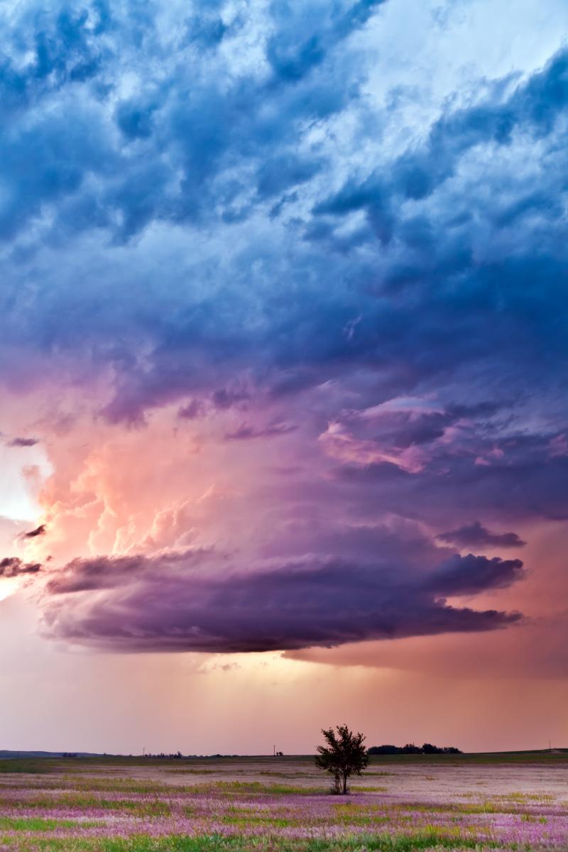 Minerva Studio/Adobe Stock