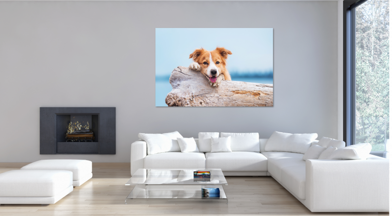 © 3DarcaStudio, © lisa1305 – stock.adobe.com/de