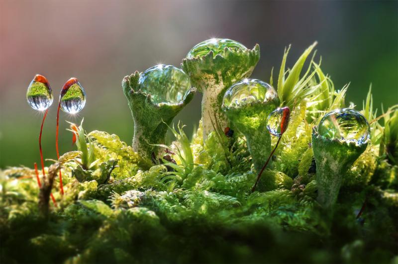 w.koraija - DigitalPHOTO Galerieuser