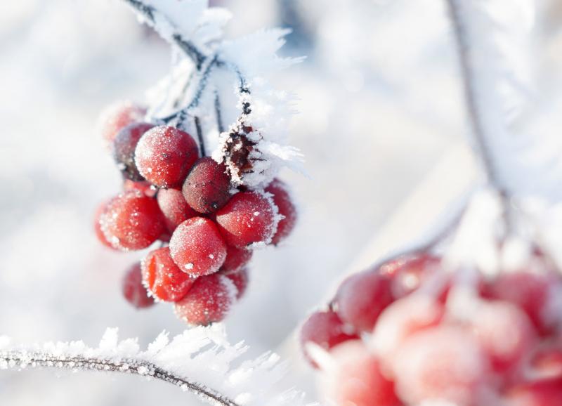 Adobe Stock, Anselm Baumgart