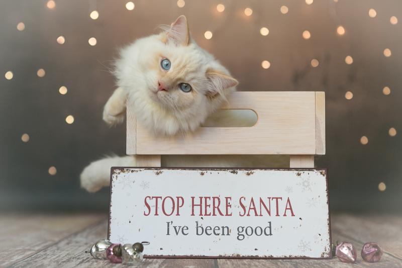 mickey18 - DigitalPHOTO Galerieuser