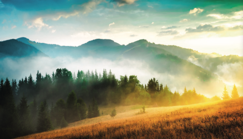 Fotos: Adobe Stock, Bildbearbeitung &amp; Screenshots: Dirk Metztmacher