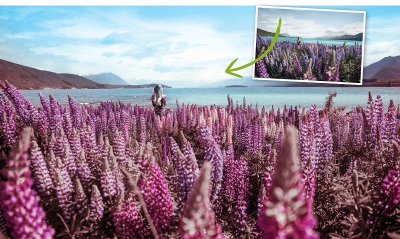 Bild: Fotos: Adobe Stock, Bildbearbeitung &amp; Screenshots: Dirk Metztmacher