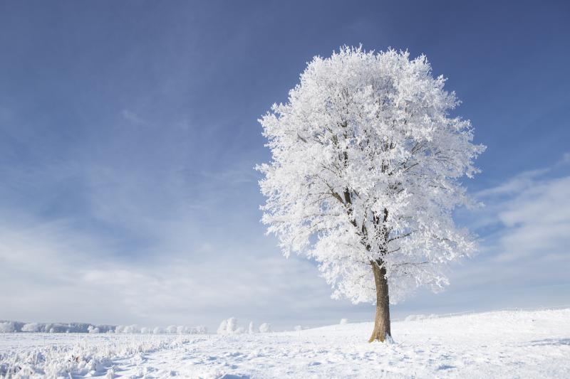 © Adam Gryko – stock.adobe.com/de