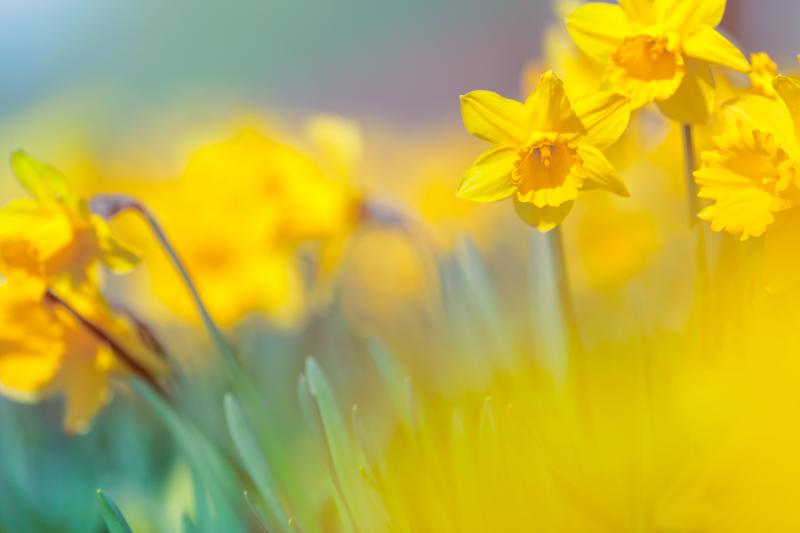 Adobe Stock, EddieCloud