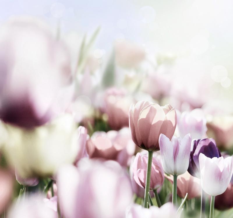 Adobe Stock, bittedankeschön