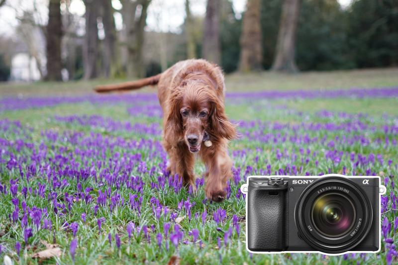 Tim Herpers, Hersteller 