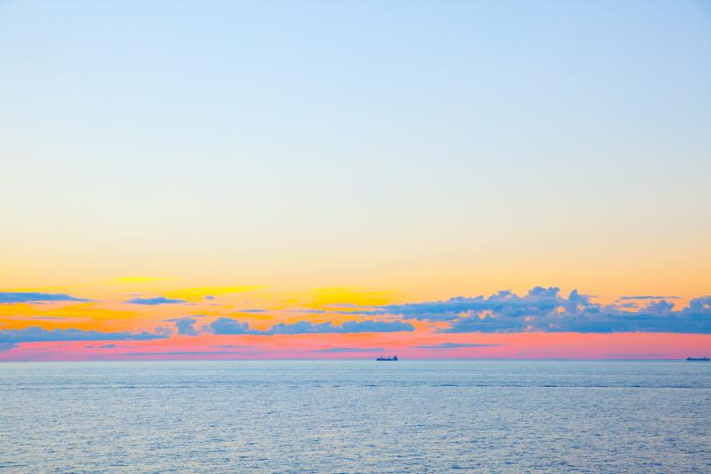 Roman Sigaev, Adobe Stock