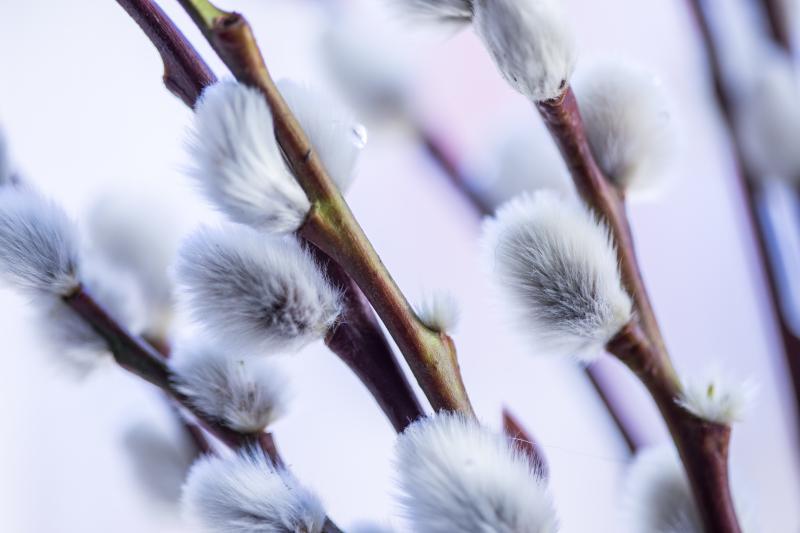 Christin, Adobe Stock