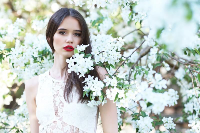 MaxFrost, Adobe Stock