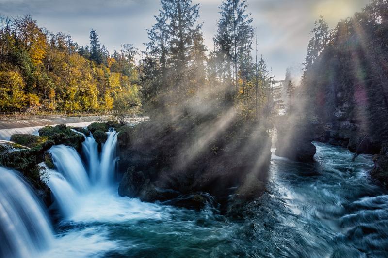 Friedrich Fuchshuber