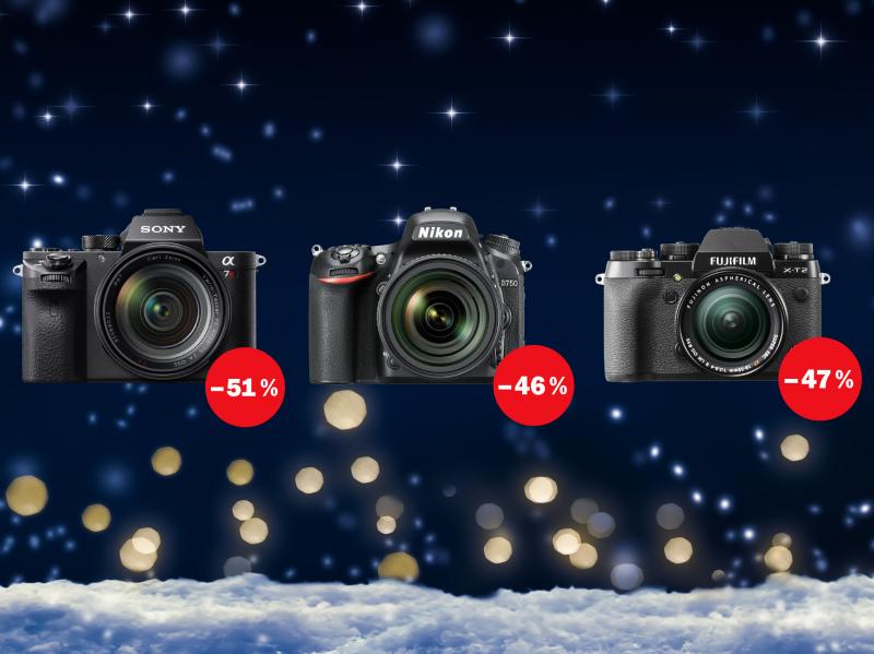 © winyu - stock.adobe.com/de