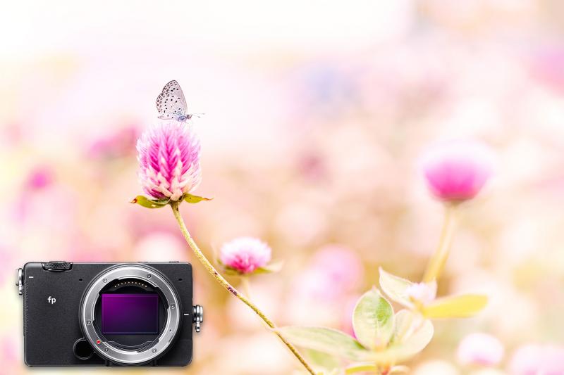 Mark James Ford - Hersteller