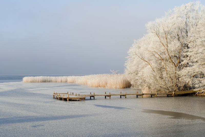 Frank Wiechens, Adobe Stock