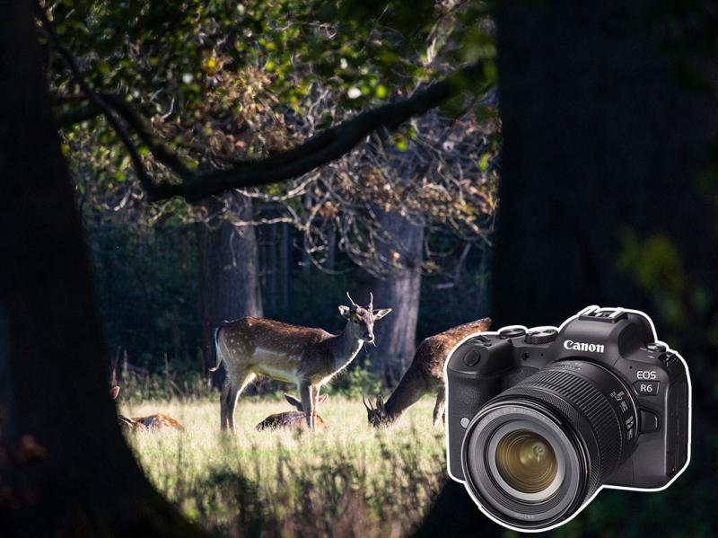 Digitalphoto Fotografieren Wie Die Profis