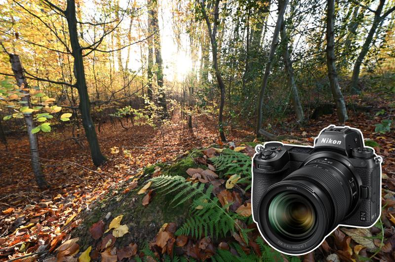 Tim Herpers - Hersteller