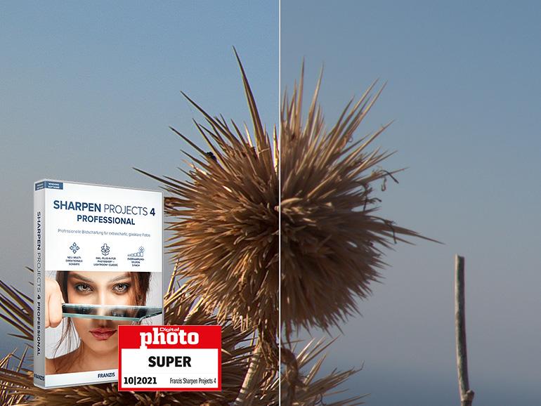 Jörg Rieger Espìndola - Hersteller - falkemedia